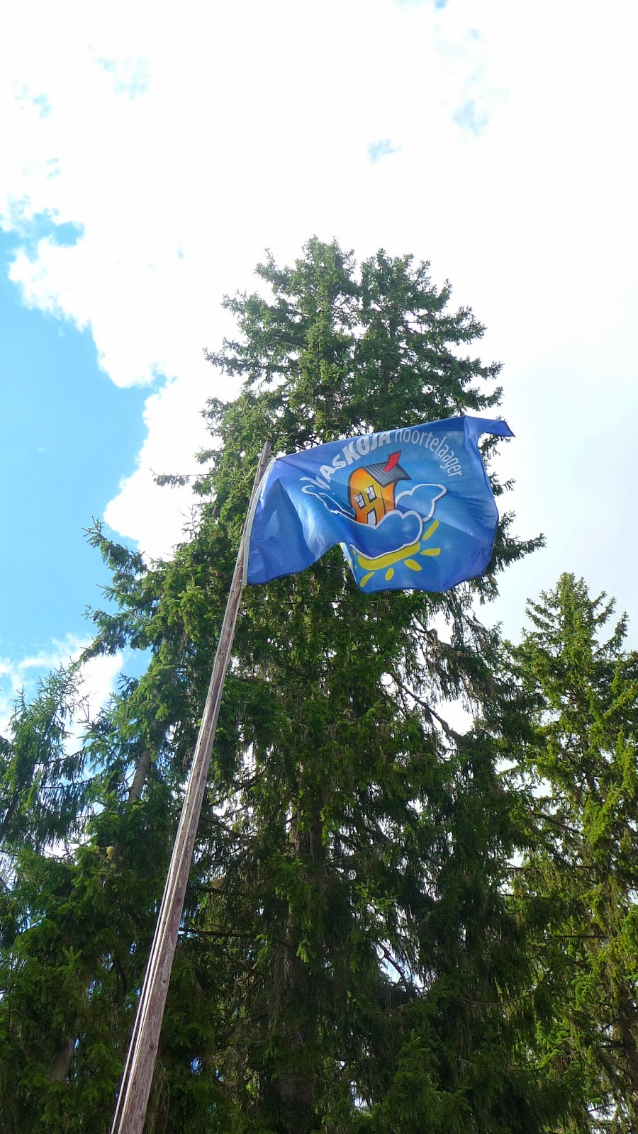 Laagrisuvi 2014