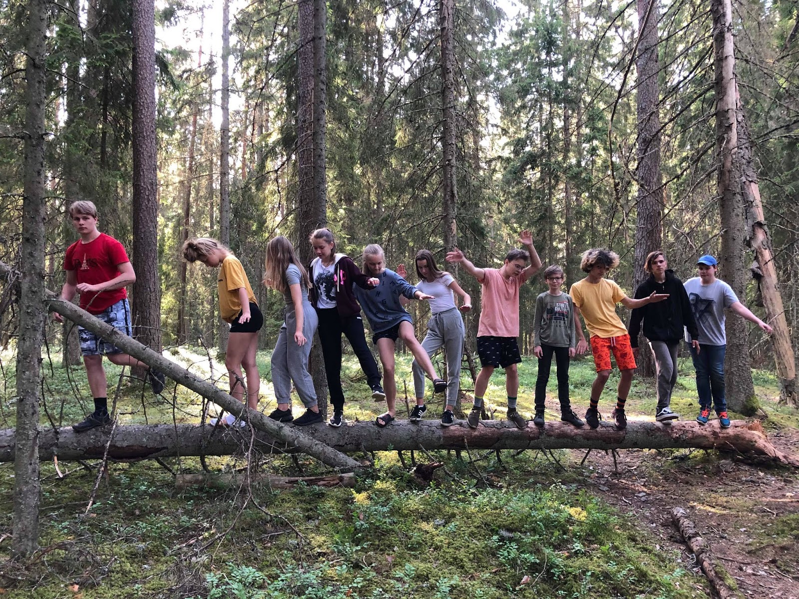Taevaskoja puhkekeskus – Header