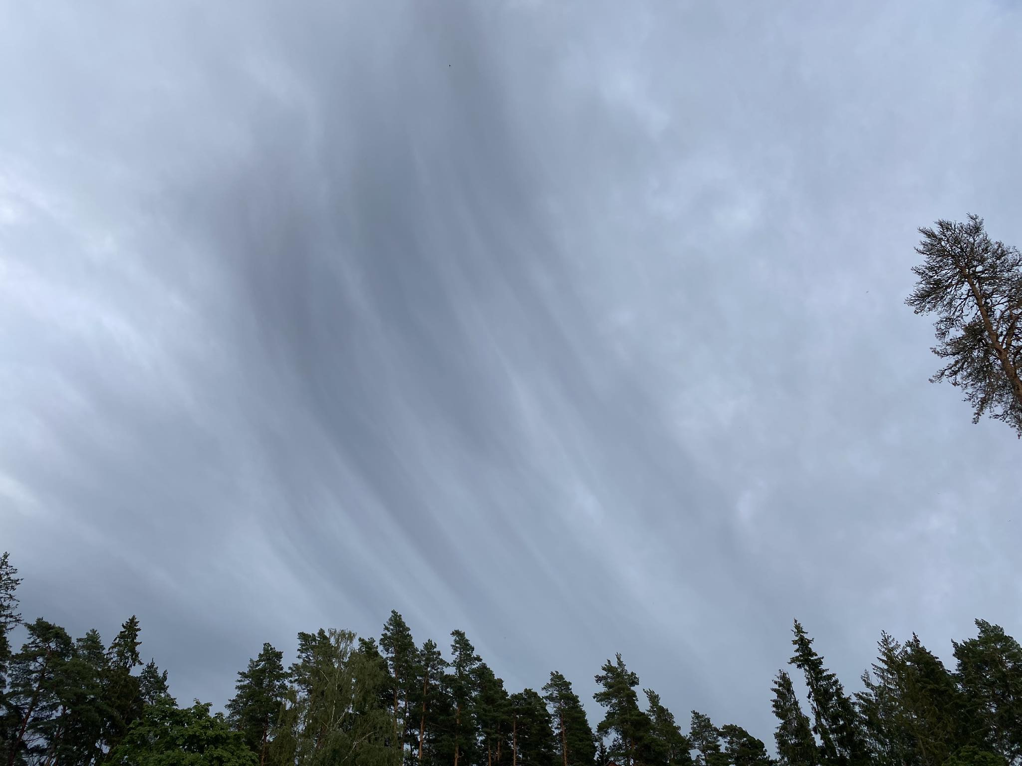 Seikluspäev 04.07.2023