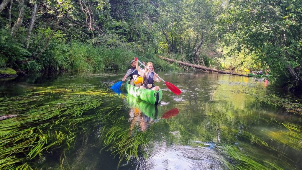 Canoe trip on the Ahja River