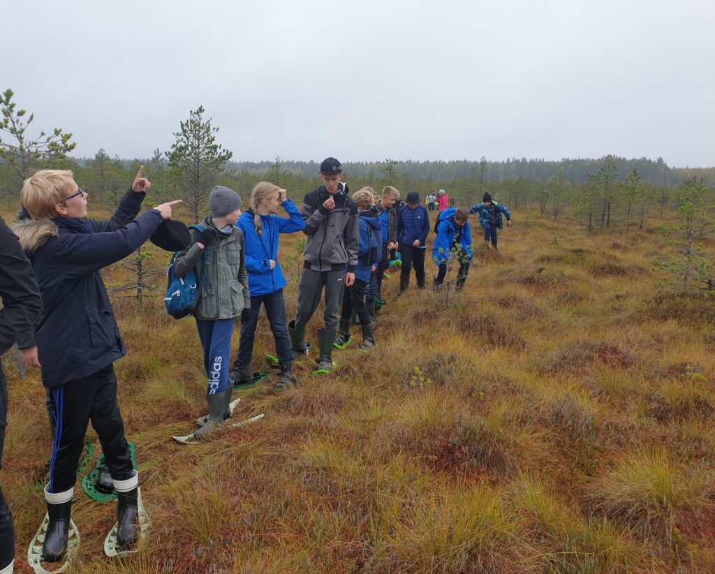 Snowshoe hike in the bog