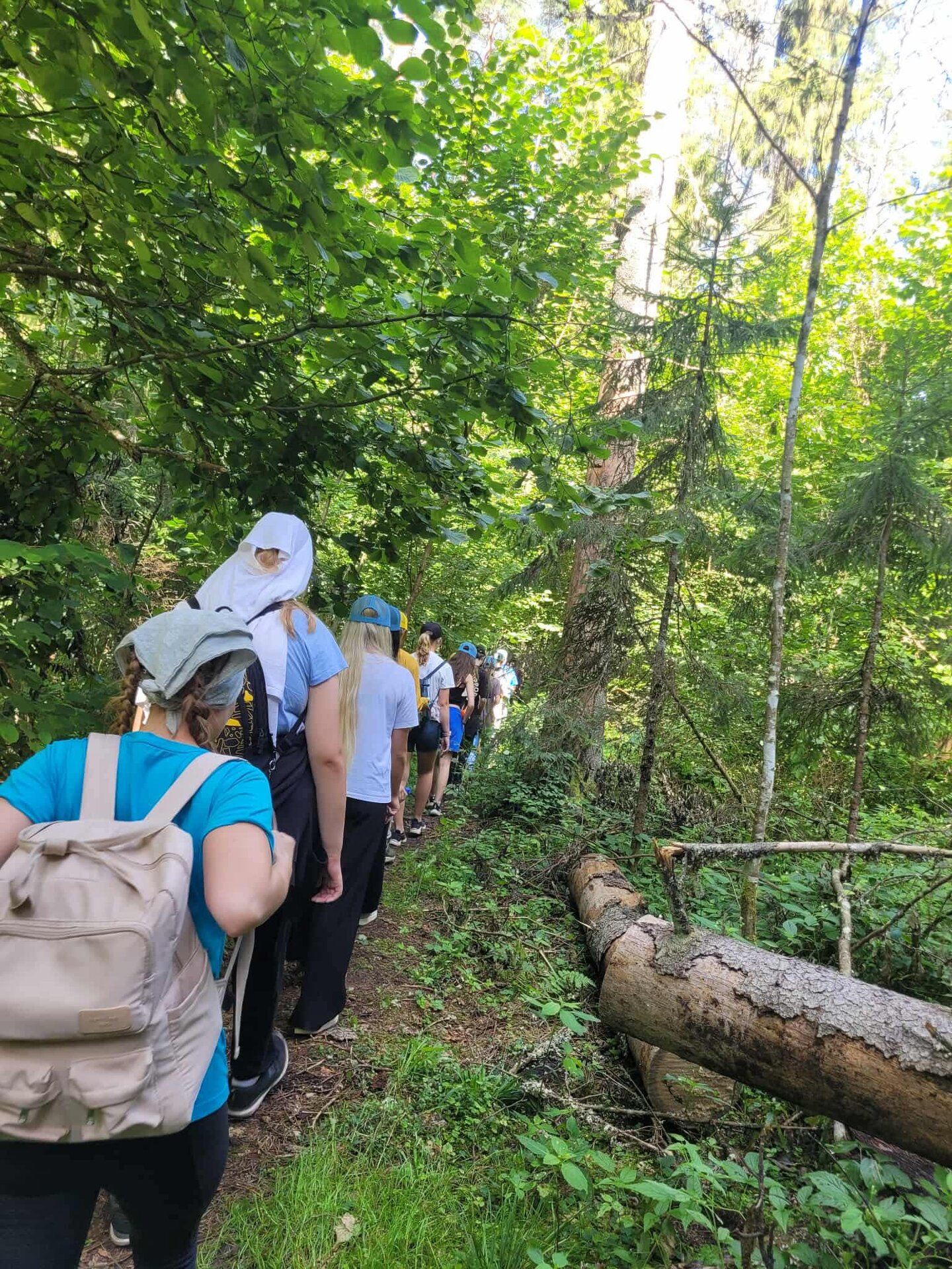 Guided hike