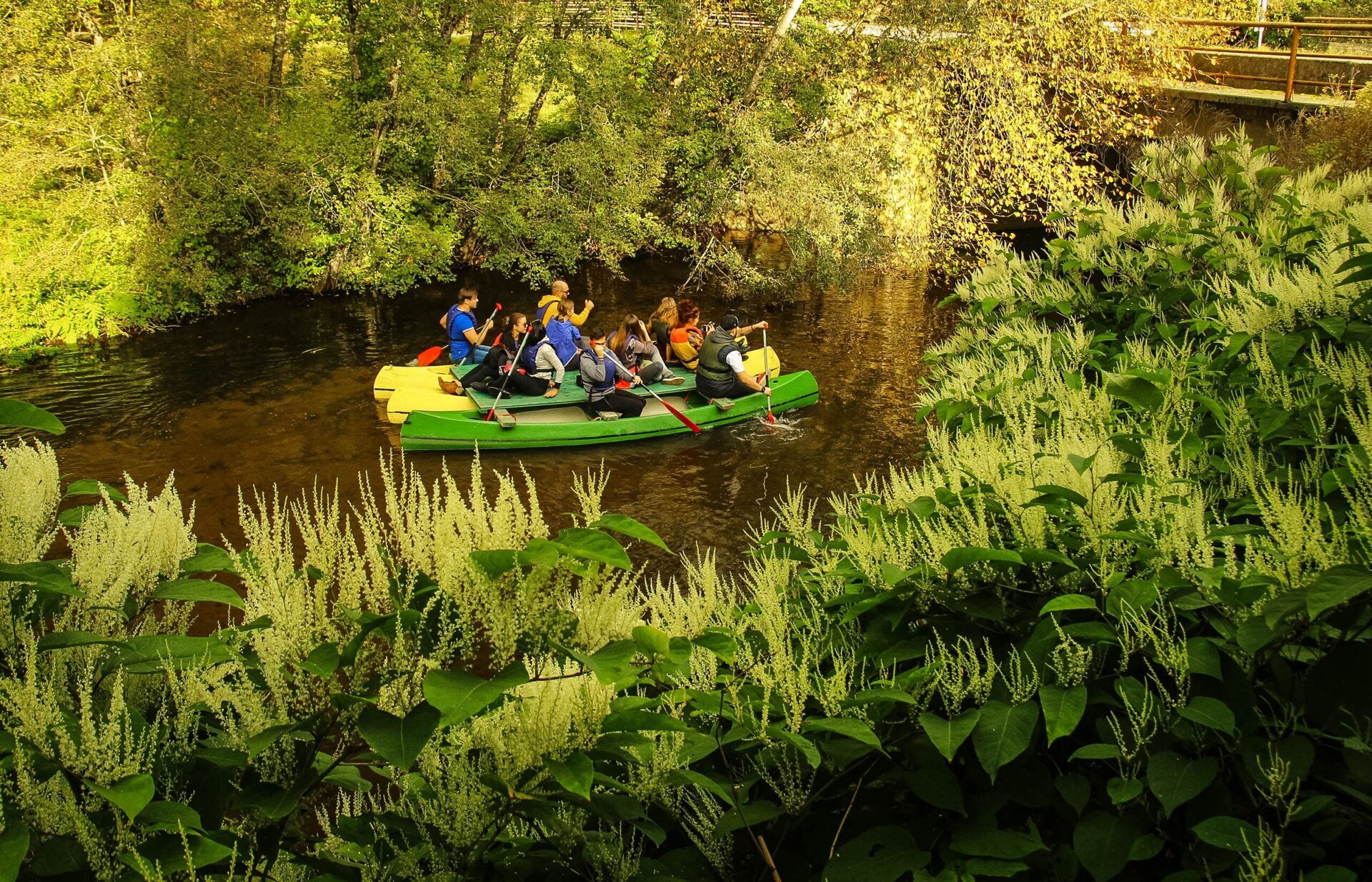 Canoe raft trips