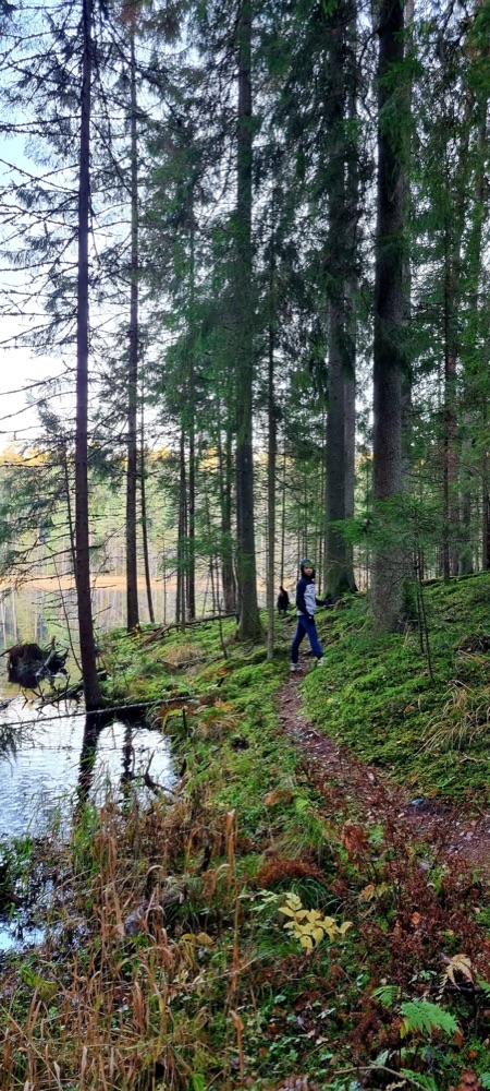 Taevaskoja hiking trail