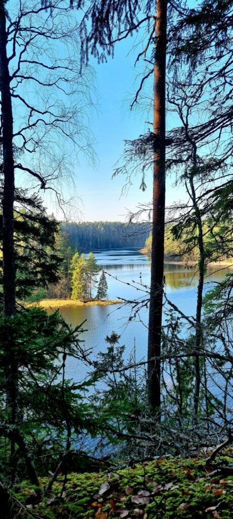 Saesaare paisjärv
