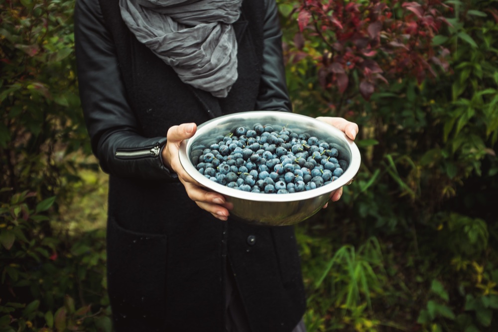 Local blueberries