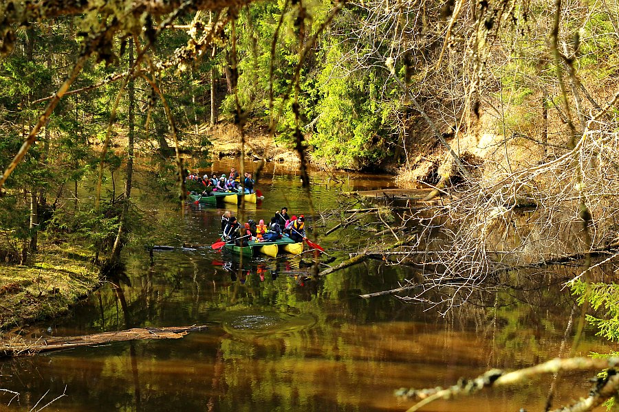 Canoe raft trips