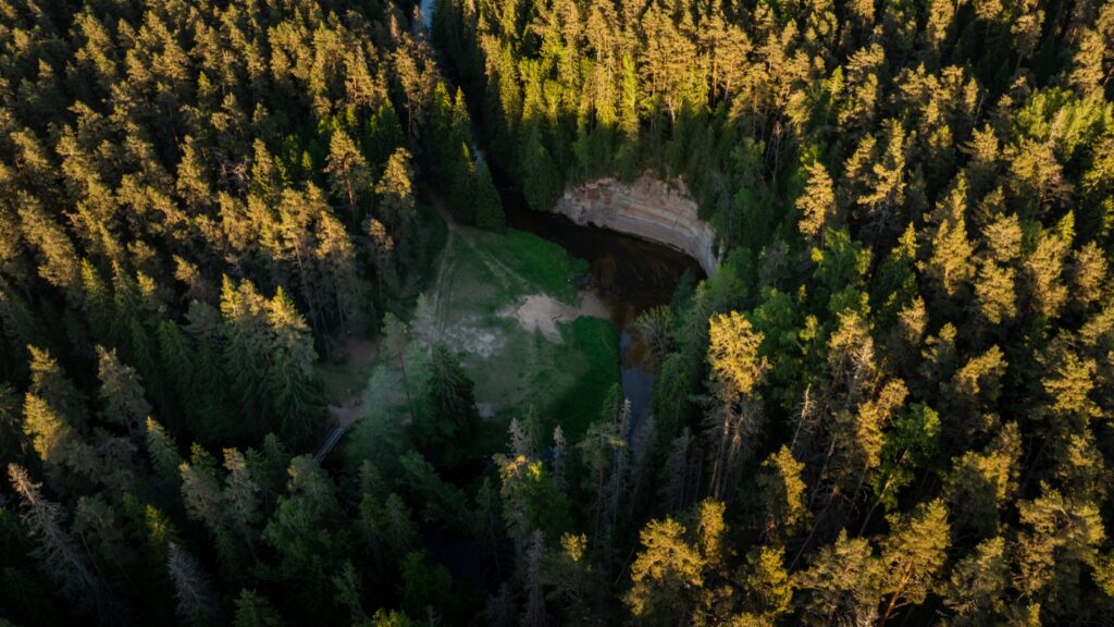Taevaskoja nature